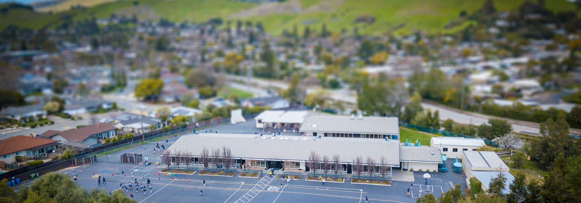 Saint Isabella School from the air